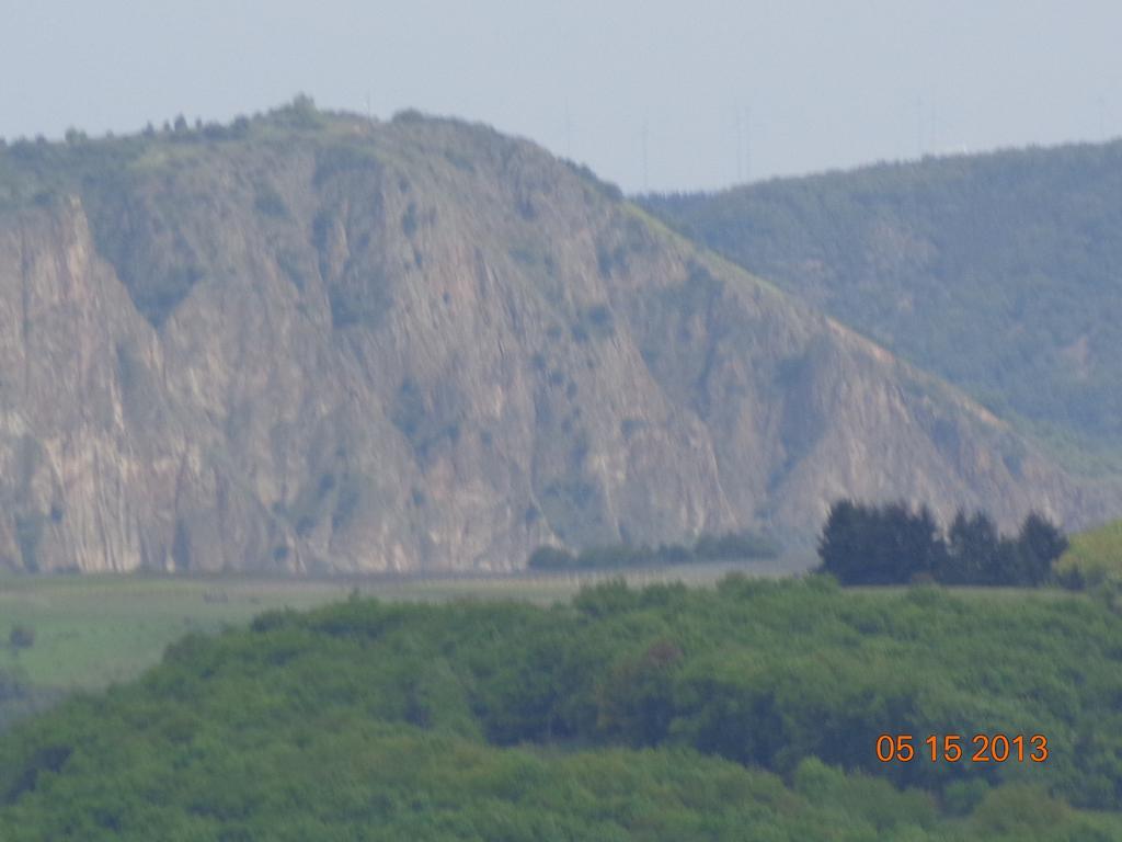 Hotel Leo'S Ruh Waldböckelheim Dış mekan fotoğraf